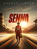 Cartel de Senna