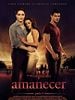Cartel de La saga Crepúsculo: Amanecer - Parte 1