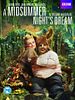 Cartel de A Midsummer Night’s Dream