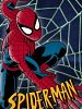 Cartel de Spider-Man