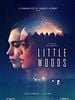 Cartel de Little Woods