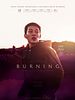 Cartel de Burning