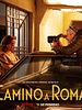 Cartel de Camino a Roma