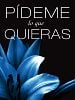 Cartel de Pídeme lo que quieras