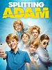 Cartel de Splitting Adam
