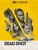 Cartel de Dead Shot