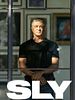 Cartel de Sly