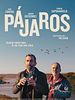 Cartel de Pájaros