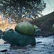 Morelull y Bulbasaur