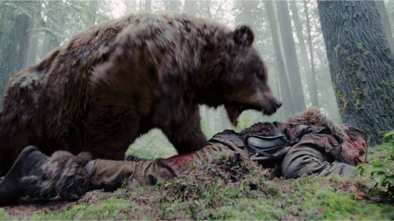 Oso grizzly