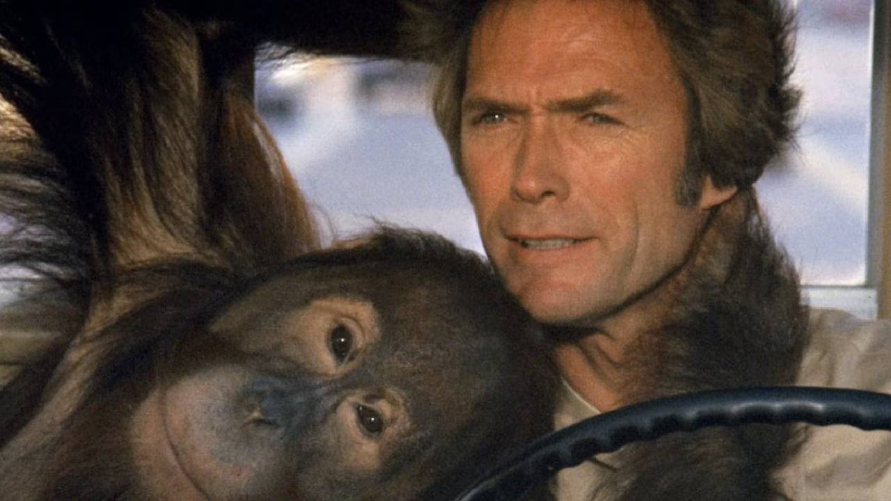 „Wszyscy mnie błagali, żebym nie robił tego filmu”: Clint Eastwood zignorował wszystkich i odniósł największy sukces w swojej karierze – Cinema News