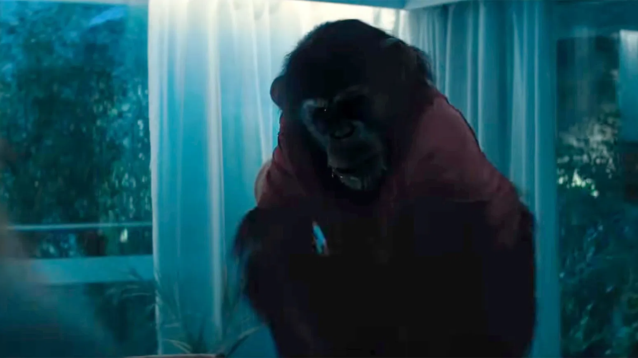 Primate.