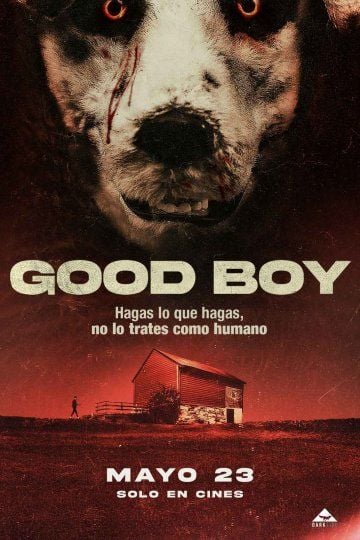 Good Boy - Película 2022 - SensaCine.com.mx