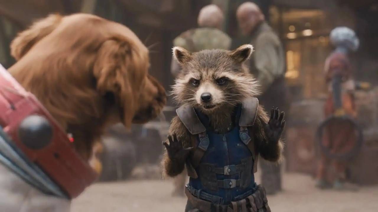 Rocket Raccoon, el nuevo líder