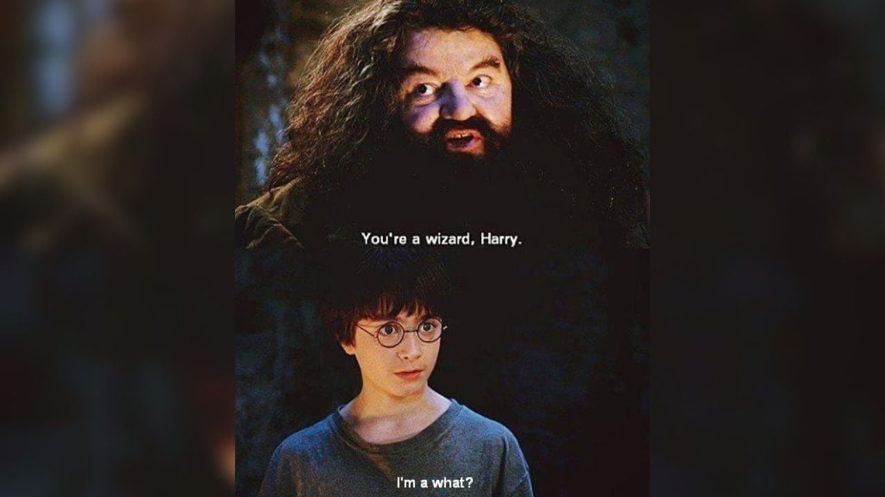 Hagrid diciendo a Harry la icónica frase.