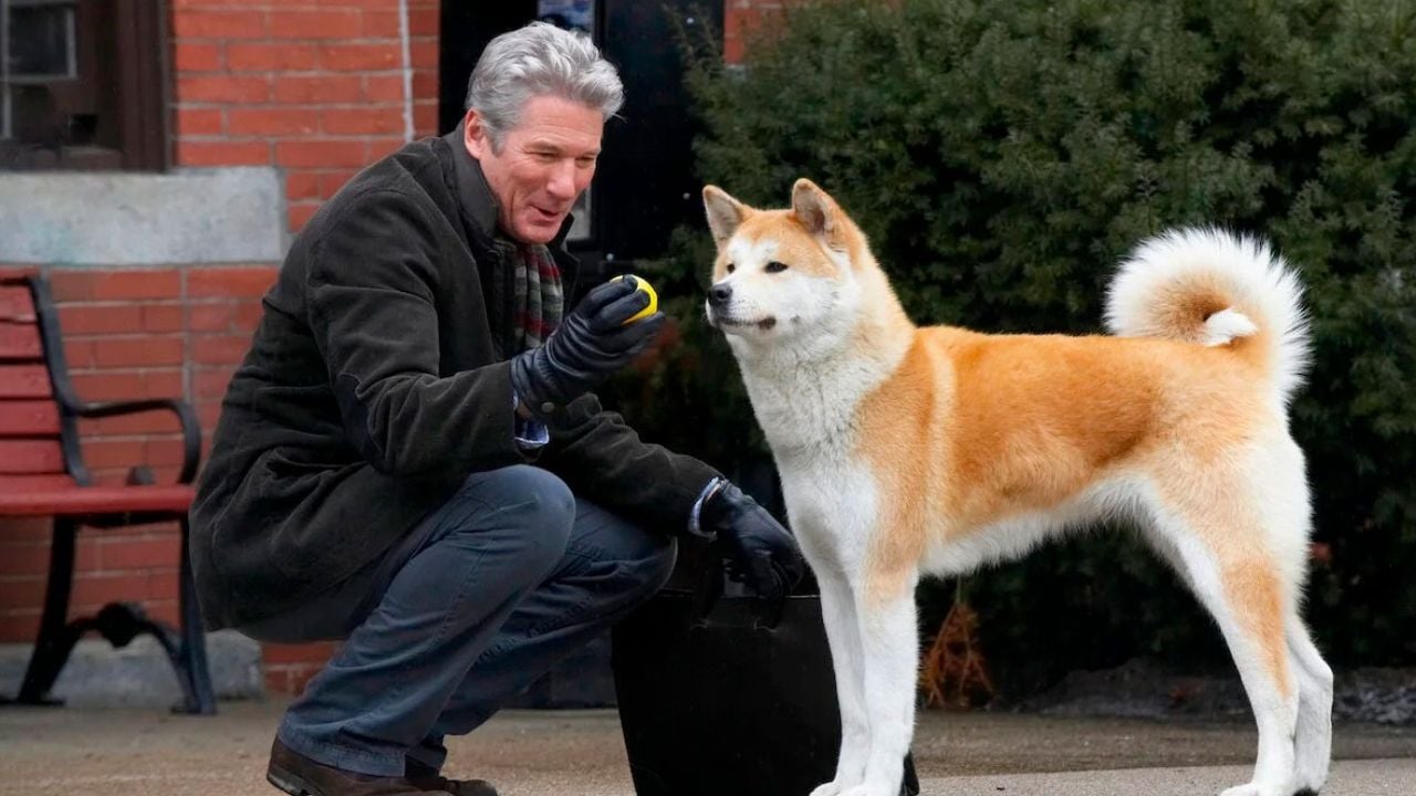 Hachiko