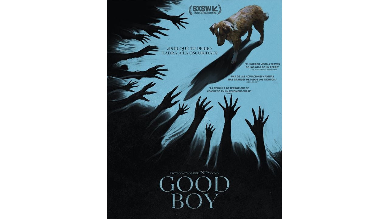 Póster en español de 'Good Boy'