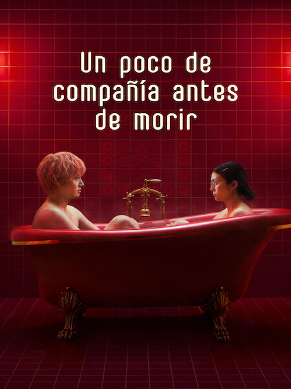 Cartel de la película Un poco de compañía antes de morir - Foto 11 por ...