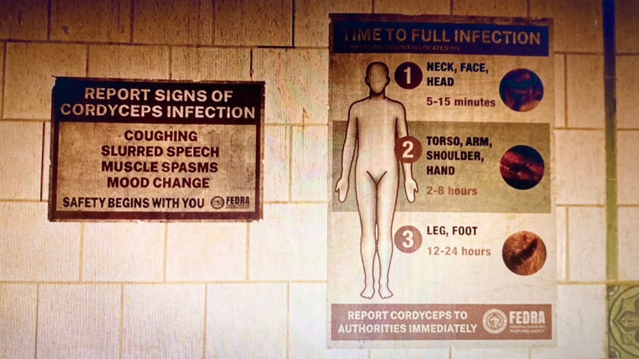 La advertencia de infección por Cordyceps elaborada por FEDRA.