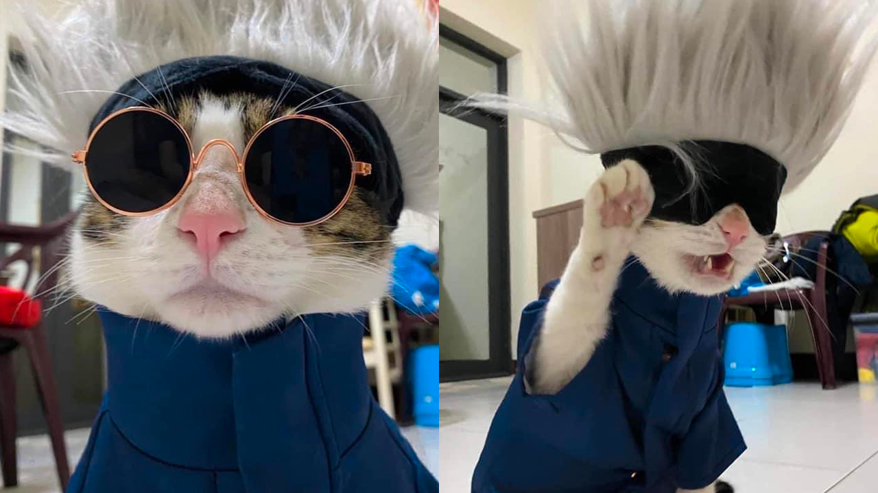 La serie se encuentra actualmente en Crunchyroll.