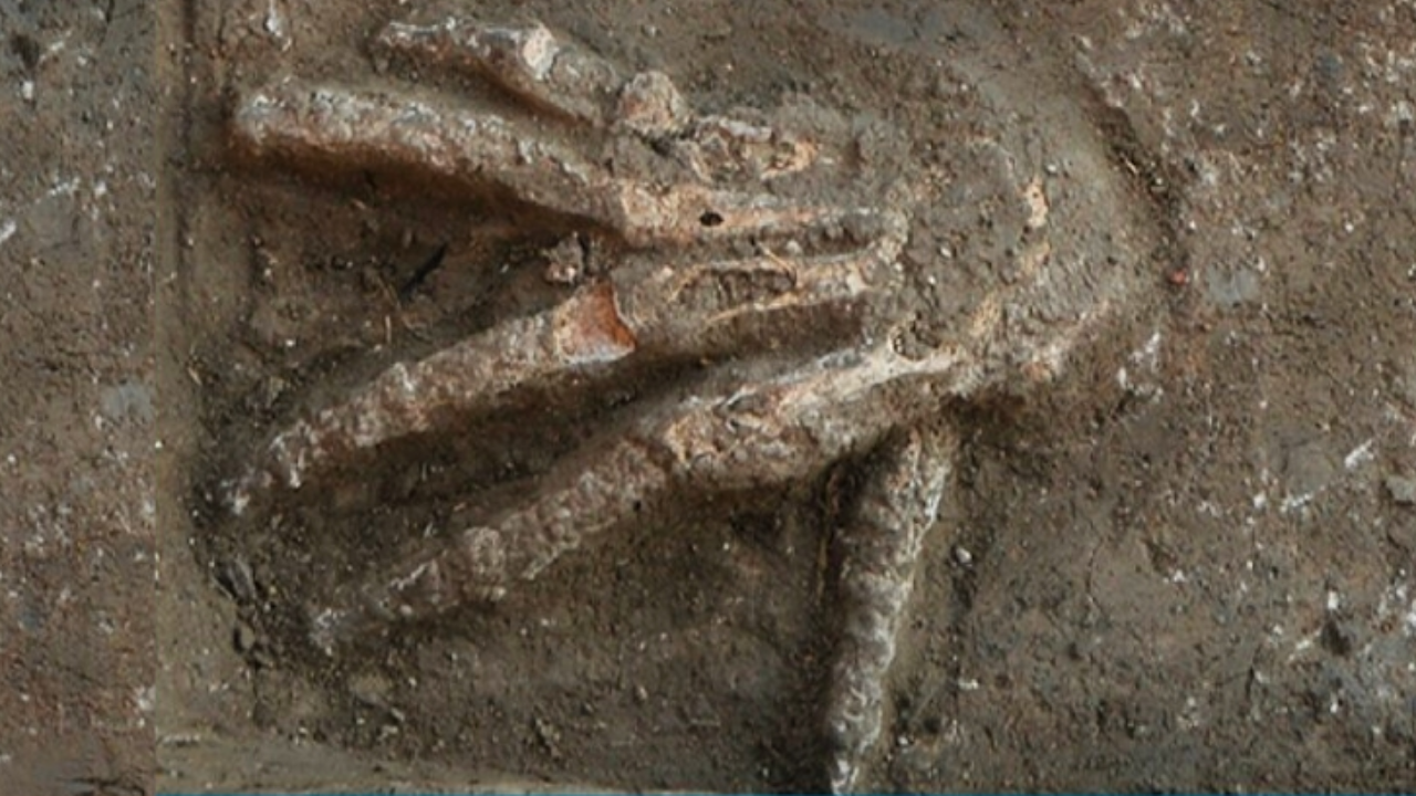 Manos esparcidas en un palacio que data de alrededor del año 1600 a. C. en Tell el-Dab'a, en el noreste de Egipto.