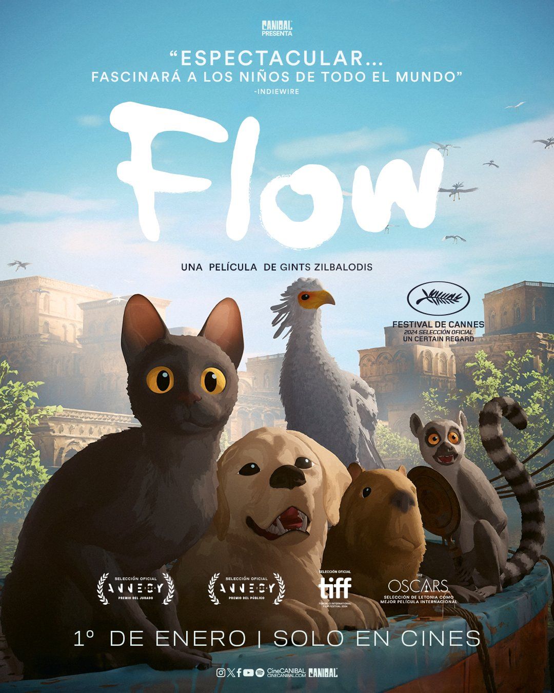 Sesiones de flow en cdmx poniente sensacine mx