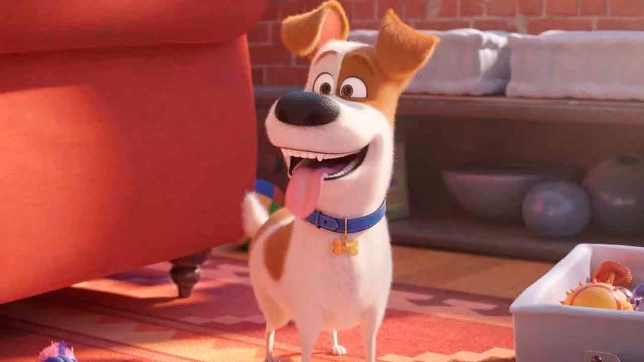 ¿la Vida Secreta De Tus Mascotas 2 Tiene Escena Post Créditos Noticias De Cine Sensacine 