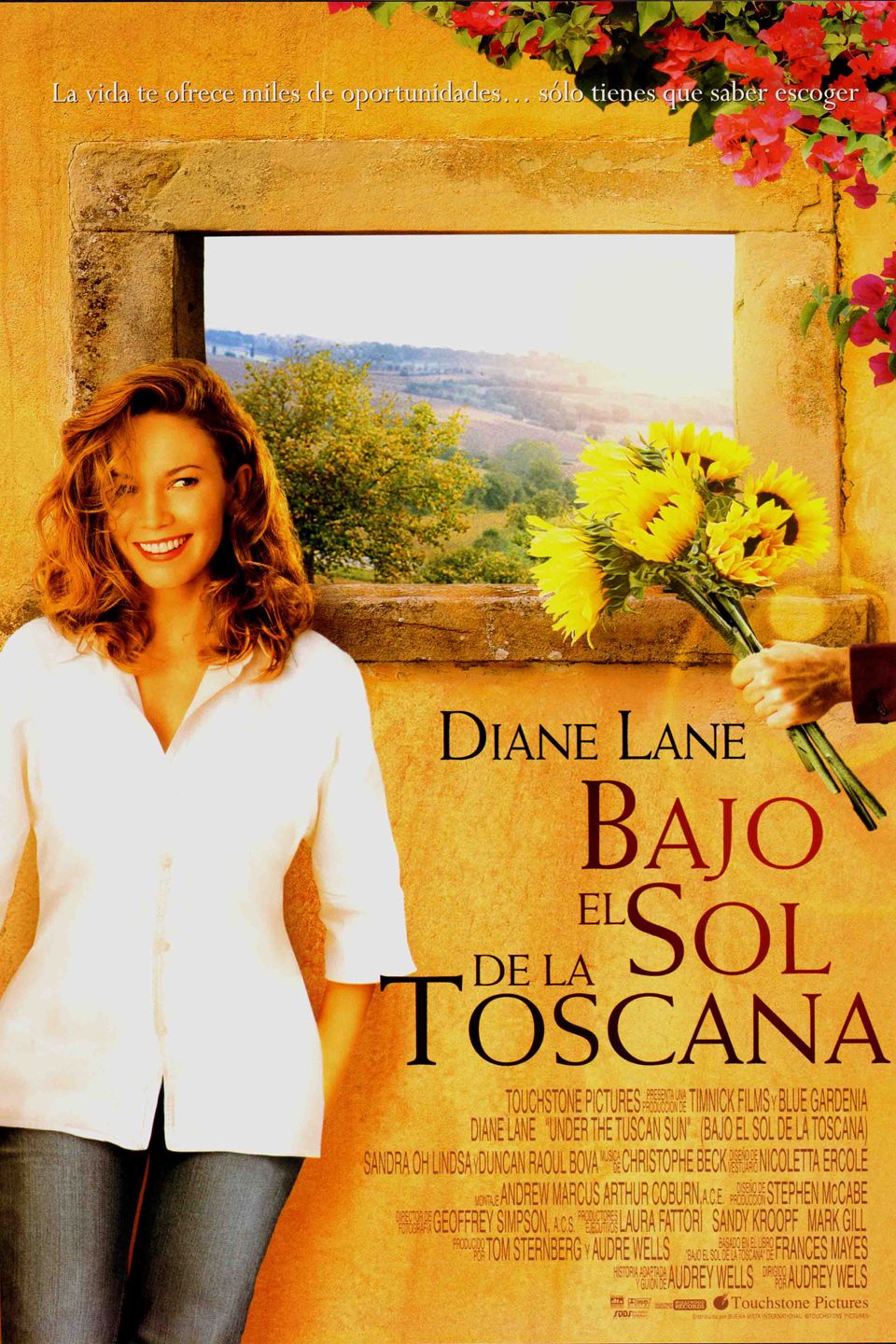 Bajo el sol de Toscana - Película 2003.mx
