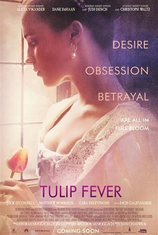 Amor, deseo y tulipanes - Película 2017.mx