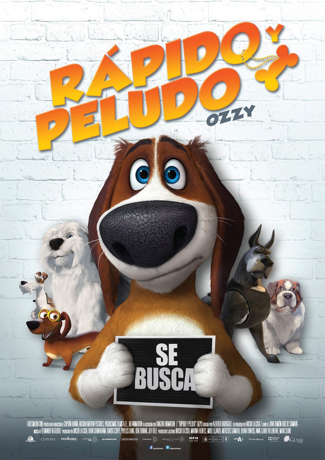 Ozzy: Rápido y peludo 