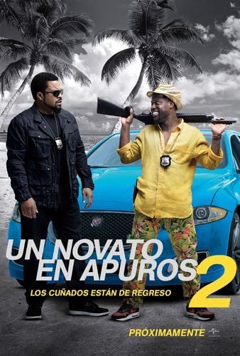 Un novato en apuros 2 - Película 2016.mx