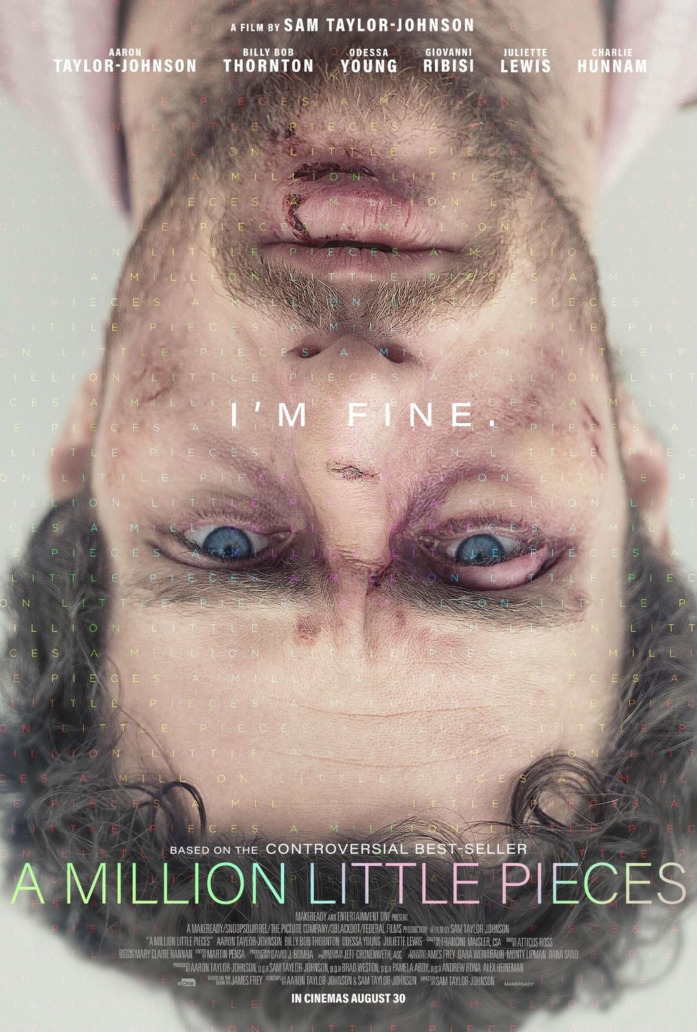 A million little pieces - Película 2018.mx