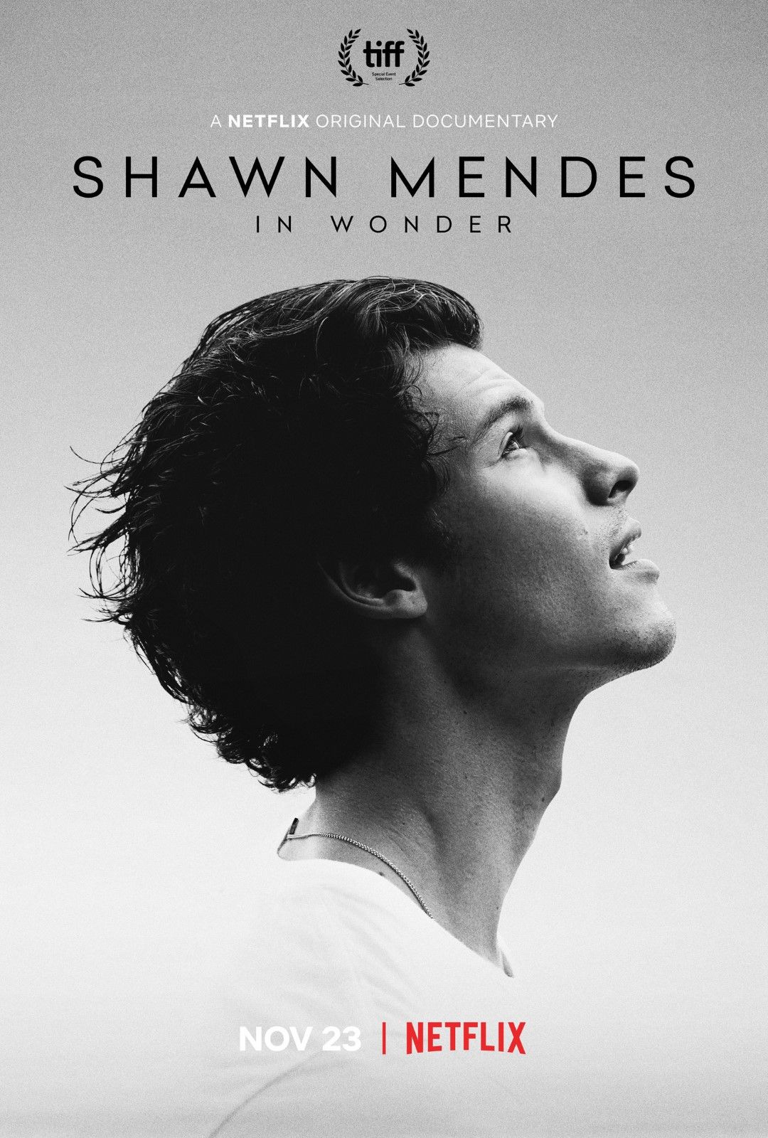 Shawn Mendes: In Wonder - Documental 2020.mx