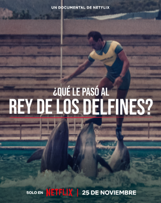 ¿Qué le paso al rey de los delfines? - Documental 2022.mx