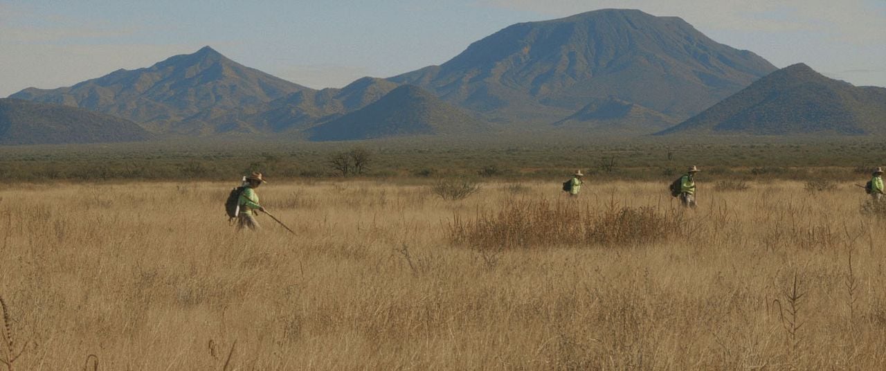 ¿A Dónde Vamos, Coyote? : Foto