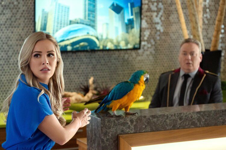 Fly Away With Me : Foto