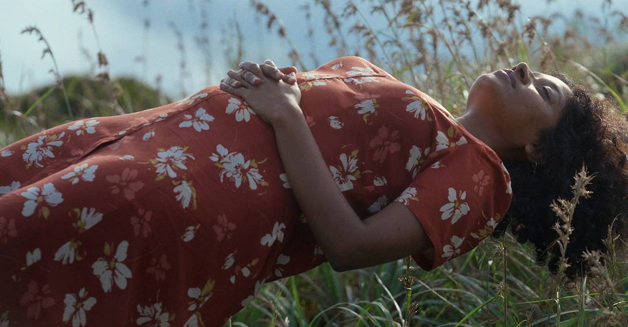 Turtle’s Gaze on Spying Stars : Foto