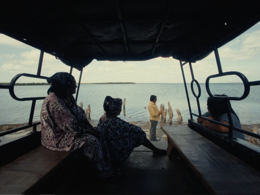 Positivo Negativo : Foto