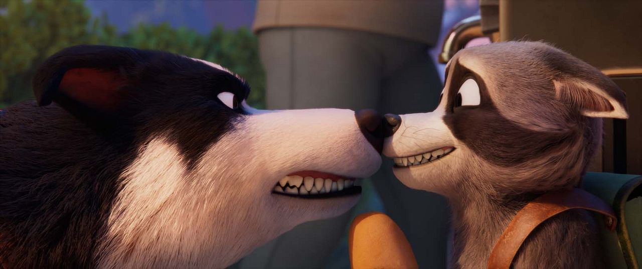 Mascotas al rescate : Foto