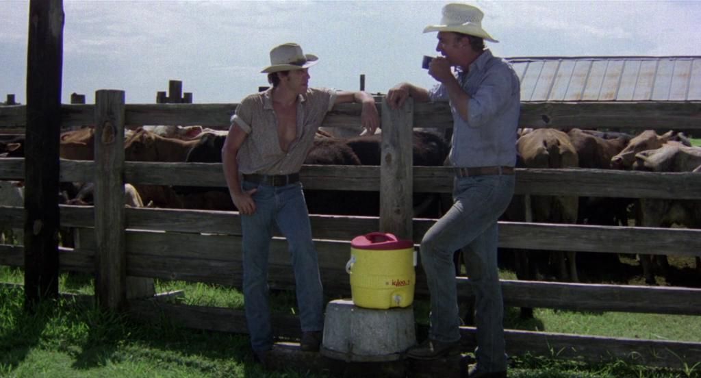 The Enchanted : Foto