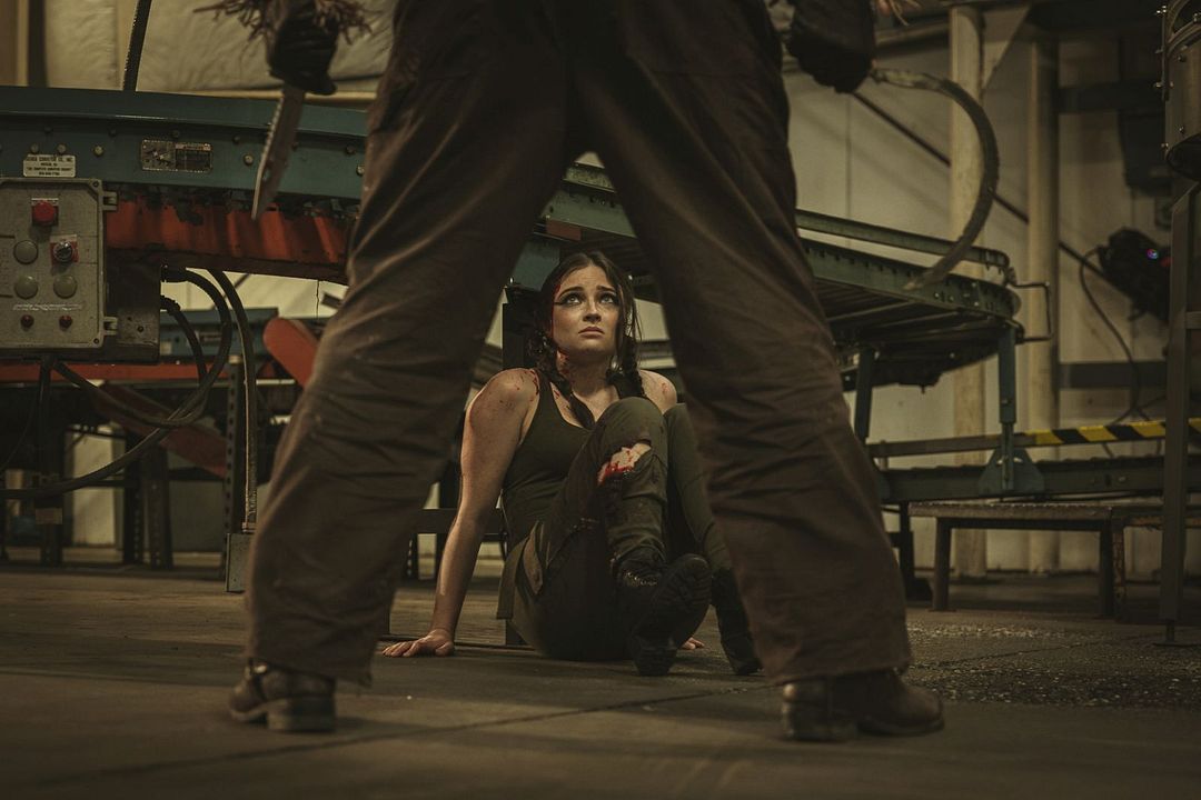 La Noche Del Espantapájaros : Foto