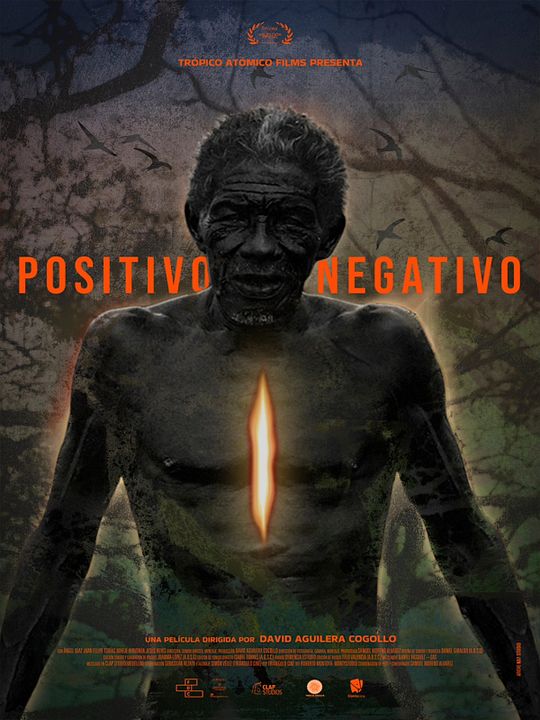 Positivo Negativo : Póster