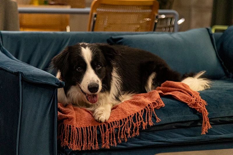 Enloqueciendo Contigo : Foto