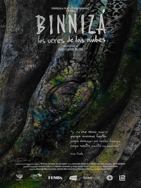 Binnizá, Los Seres de las Nubes : Póster