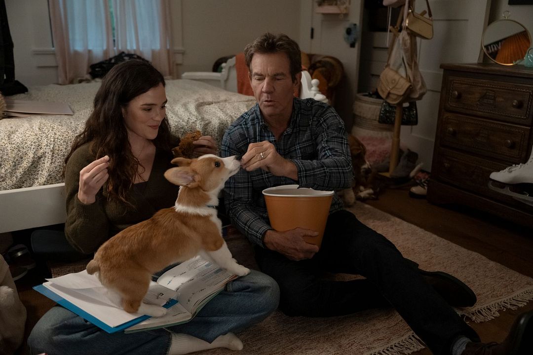 La razón de estar contigo: Una Navidad perfecta : Foto Dennis Quaid