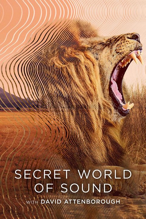 Secret World of Sound with David Attenborough : Póster