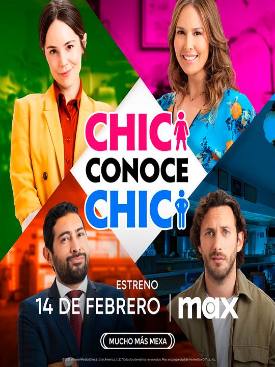Chica Conoce Chico : Póster