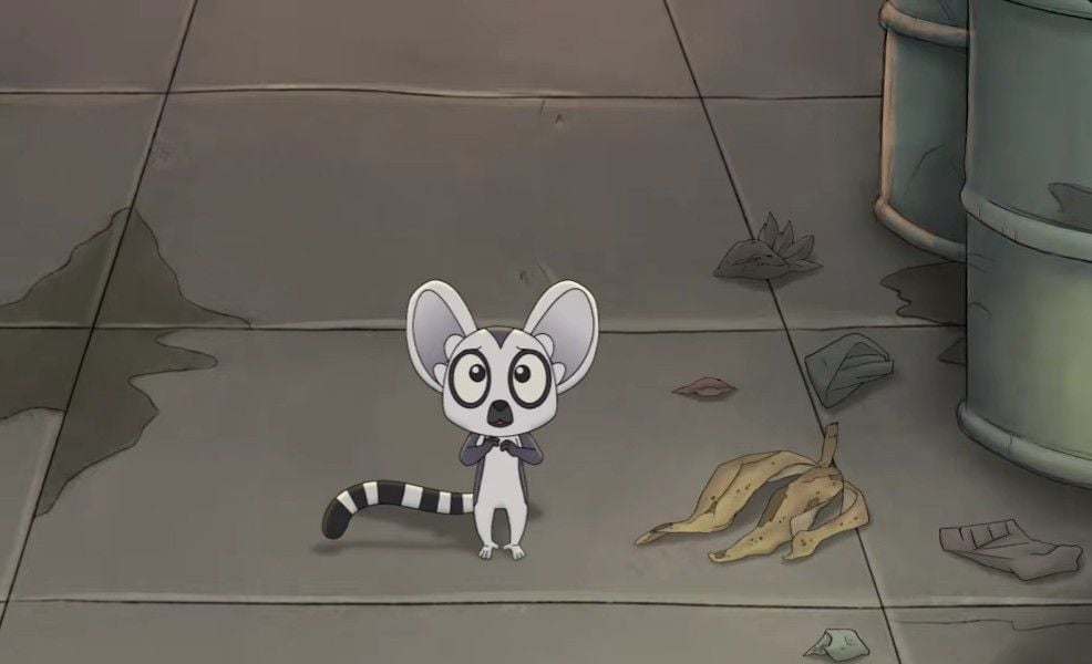 Bem, un lémur en fuga : Foto