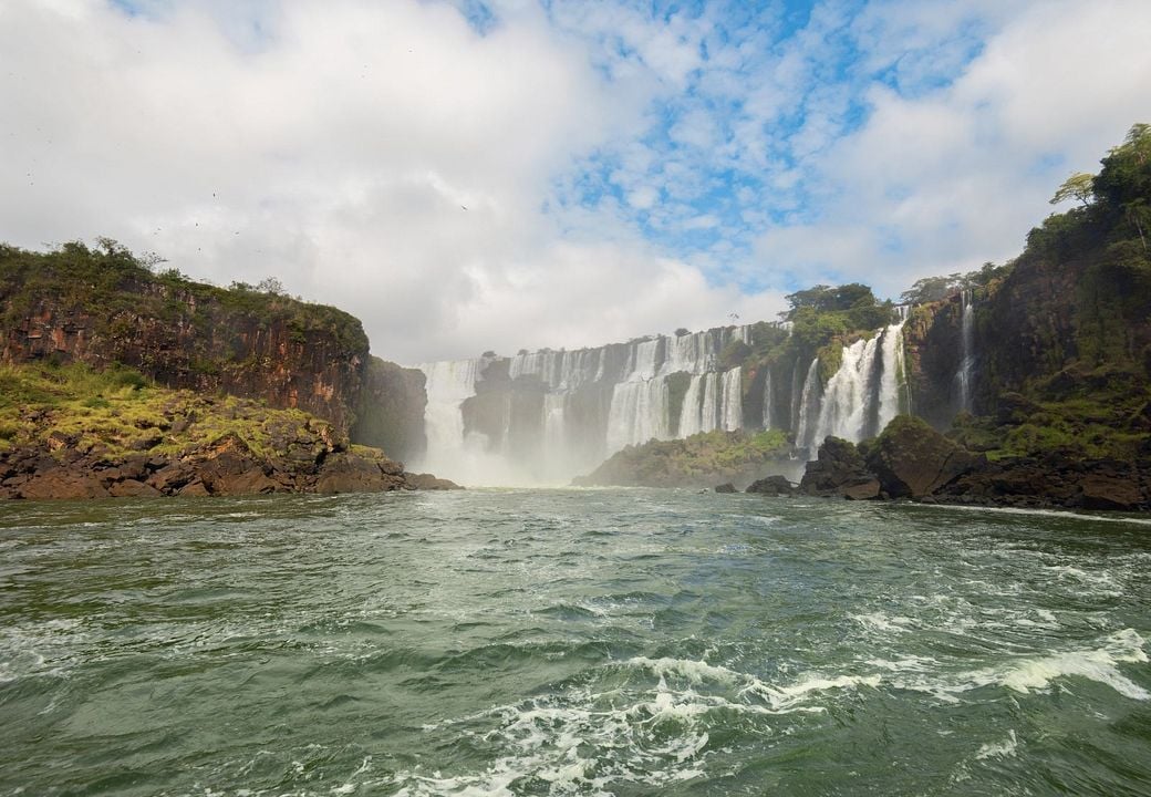 El último gigante : Foto