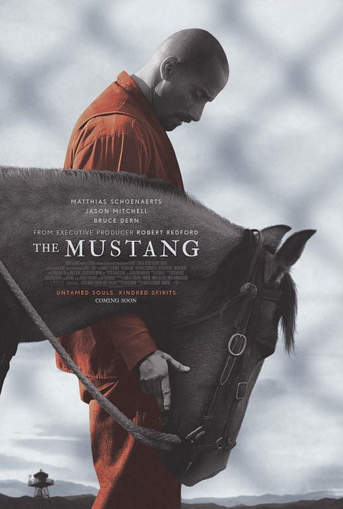 The Mustang : Póster